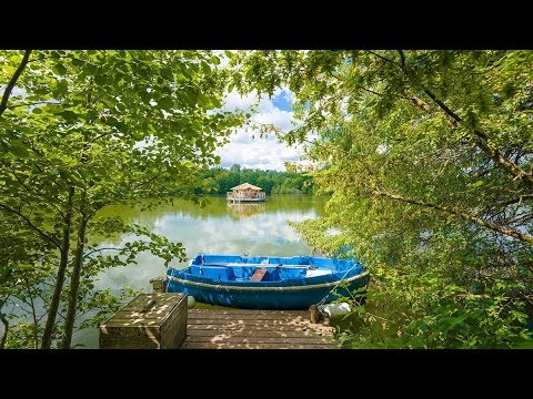 VaoVert : un site qui propose des hébergements éco-responsables