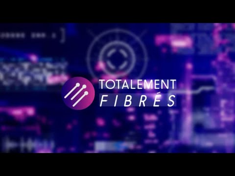 TTFB : évolution du forfait 2€, des mises à jour pour les abonnés Free, etc...